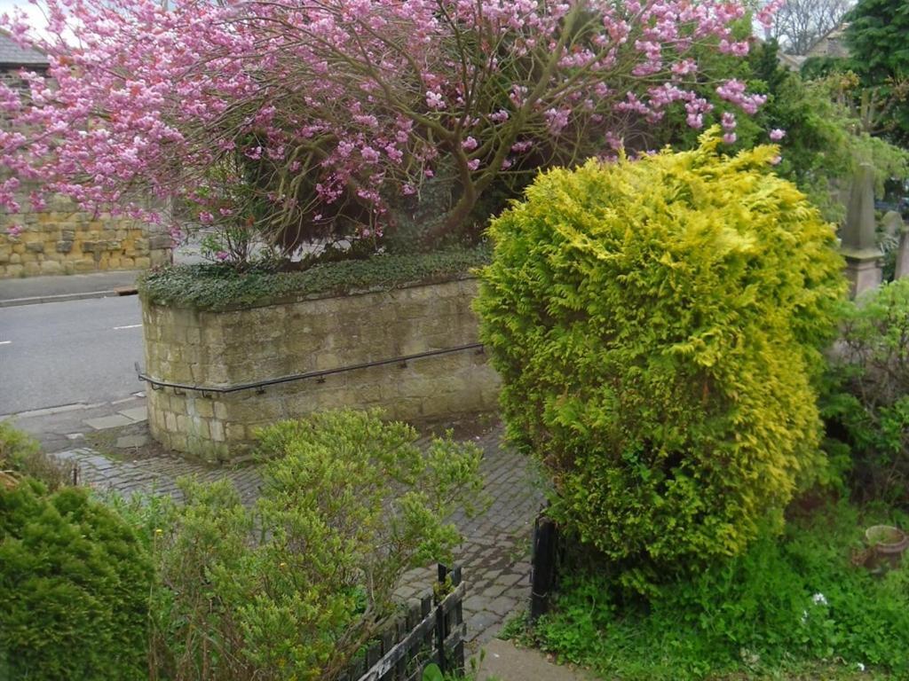 The Old Vicarage Bed & Breakfast Belford Exterior photo